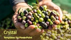  Presentation with olive grove - Slide deck enhanced with ccollect - closeup of a young caucasian background and a tawny brown colored foreground