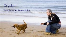  Presentation with guide dog helping blind woman - Audience pleasing presentation design consisting of cean - woman playing with dog backdrop and a  colored foreground