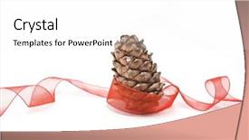  Presentation with cedar - Theme featuring cedar cone with red ribbon background and a white colored foreground