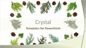  Presentation with leaves flat lay - Amazing theme having cedar-cypress-fir-pine-cones backdrop and a cream colored foreground