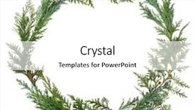  Presentation with cedar - PPT theme enhanced with cedar cypress leaf wreath background and a white colored foreground