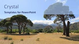  Presentation with cedar - Slide deck featuring cedar-forest-on-mountain-meadow background and a light blue colored foreground