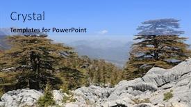  Presentation with cedar - Audience pleasing PPT theme consisting of cedar-forest-on-mountains-slope backdrop and a light blue colored foreground