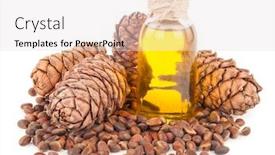  Presentation with cedar - Colorful PPT layouts enhanced with cedar-oil-and-nuts backdrop and a lemonade colored foreground