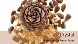  Presentation with cedar - Theme consisting of cedar pine cones with nuts isolated on white background background and a gold colored foreground