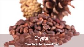  Presentation with cedar - Cool new slide deck with cedar pine nuts isolated on white backdrop and a tawny brown colored foreground