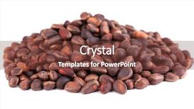  Presentation with cedar - PPT theme featuring cedar pine nuts isolated on white background and a tawny brown colored foreground
