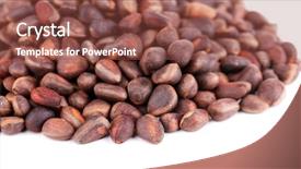  Presentation with cedar - Presentation theme featuring cedar pine nuts isolated on white background and a tawny brown colored foreground