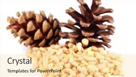  Presentation with cedar - Slide deck featuring cedar pine nuts isolated on white background and a blonde colored foreground