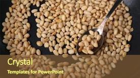  Presentation with cedar - Slide set consisting of cedar pine nuts on pan close up background and a tawny brown colored foreground