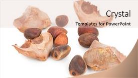  Presentation with cedar - PPT theme having cedar pine nuts background and a lemonade colored foreground