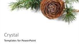  Presentation with cedar - Slide set consisting of cedar-tree-deodar-branch background and a white colored foreground