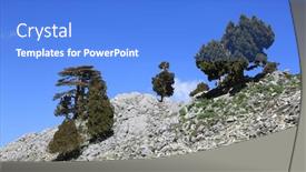  Presentation with sky blue - Slide deck having cedar-trees-among-stones background and a cobalt blue colored foreground