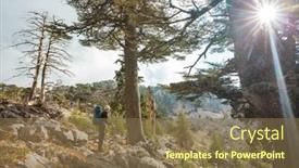  Presentation with cedar - Presentation consisting of cedar-trees-in-mountains-turkey background and a violet colored foreground