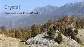  Presentation with cedar - Beautiful slide deck featuring cedar-trees-in-rocky-valley backdrop and a light blue colored foreground