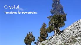  Presentation with blue mountain - Amazing PPT layouts having cedar-trees-on-mountain-slope backdrop and a cobalt blue colored foreground