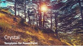  Presentation with world heritage - Slides enhanced with cedars of god beautiful landscape background and a tawny brown colored foreground