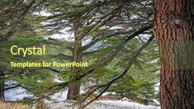  Presentation with forests - Cool new PPT theme with cedars of god natural reserve backdrop and a tawny brown colored foreground