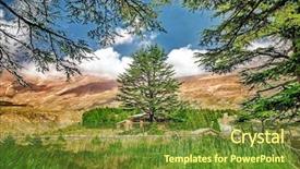  Presentation with peaceful - PPT layouts consisting of cedars of lebanon beautiful ancient background and a tawny brown colored foreground