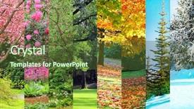  Presentation with four seasons change - Beautiful slides featuring cedfar trees in four seasons backdrop and a tawny brown colored foreground