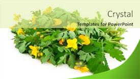  Presentation with 3d white - Audience pleasing PPT layouts consisting of celandine-on-white-background backdrop and a blonde colored foreground