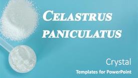  Presentation with cognitive function - Theme enhanced with celastrus-paniculatus-nootropics-or-smart background and a teal colored foreground