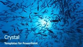  Presentation with fishes - Colorful PPT theme enhanced with celebation - fishes backdrop and a ocean colored foreground