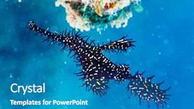  Presentation with ghost - Beautiful presentation theme featuring celebation - macro shot of a ghost backdrop and a teal colored foreground