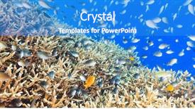  Presentation with corral reef - Audience pleasing theme consisting of celebation - panorama of the coral reef backdrop and a teal colored foreground