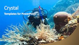  Presentation with scuba diving - Colorful slide deck enhanced with celebation - scuba diver underwater close backdrop and a teal colored foreground