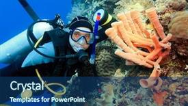  Presentation with coral reef - Cool new PPT layouts with celebation - scuba diver underwater close backdrop and a ocean colored foreground