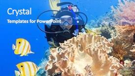  Presentation with coral reef - Slide deck enhanced with celebation - scuba diver underwater close background and a cobalt blue colored foreground