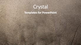  Presentation with sulawesi - PPT layouts with celebation - sulawesi babirusa babyrousa celebensis skin background and a gray colored foreground