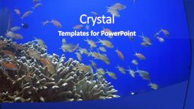  Presentation with watercolor soft pastel - Presentation theme consisting of celebation - underwater landscape with scalefin anthias background and a  colored foreground