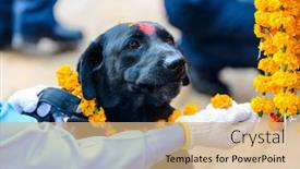  Presentation with kathmandu - Cool new slides with celebrating-kukur-tihar-festival backdrop and a coral colored foreground