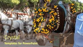  Presentation with spanish culture - Theme consisting of celebrating-spanish-culture-traditional-horses and a tawny brown colored foreground