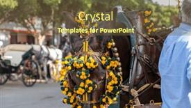  Presentation with spanish culture - Slide deck having celebrating-spanish-culture-traditional-horses background and a  colored foreground