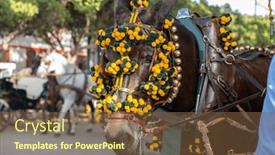  Presentation with spanish culture - Presentation with celebrating-spanish-culture-traditional-horses background and a tawny brown colored foreground