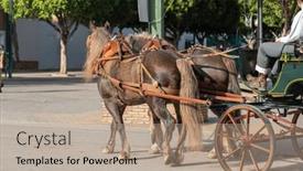 Presentation with spanish culture - Slide set enhanced with celebrating-spanish-culture-traditional-horses and a coral colored foreground