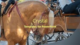  Presentation with spanish culture - Slide set consisting of celebrating-spanish-culture-traditional-horses and a tawny brown colored foreground