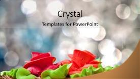  Presentation with roses - Amazing presentation theme having celebratory chocolate cake with two cream-colored roses backdrop and a light gray colored foreground