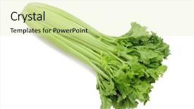  Presentation with celery - Amazing PPT theme having celery bunch isolated on white backdrop and a soft green colored foreground