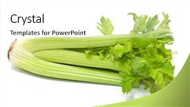  Presentation with celery - Cool new PPT theme with celery isolated on a white backdrop and a white colored foreground
