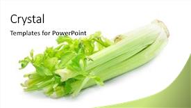  Presentation with celery - Presentation enhanced with celery on a white background background and a white colored foreground