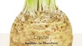  Presentation with celery - Beautiful slide deck featuring celery-root-celeriac-isolated backdrop and a yellow colored foreground