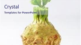  Presentation with celery - Cool new PPT theme with celery root on white background backdrop and a sky blue colored foreground