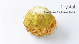  Presentation with root - Slide set having celery-root-on-white-background background and a sky blue colored foreground