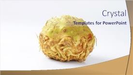  Presentation with root - Slide set featuring celery-root-on-white-background background and a sky blue colored foreground