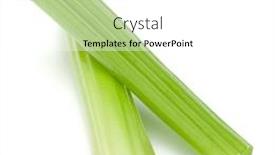  Presentation with celery - Slide deck consisting of celery-stalk-bunch-isolated-om background and a  colored foreground