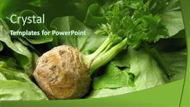  Presentation with celery - Presentation theme featuring celery background and a tawny brown colored foreground